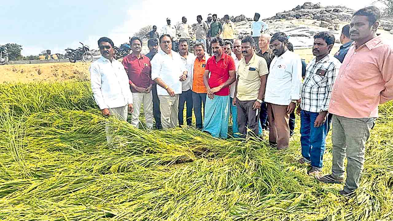 కడగండ్లు మిగిల్చిన వడగండ్లు