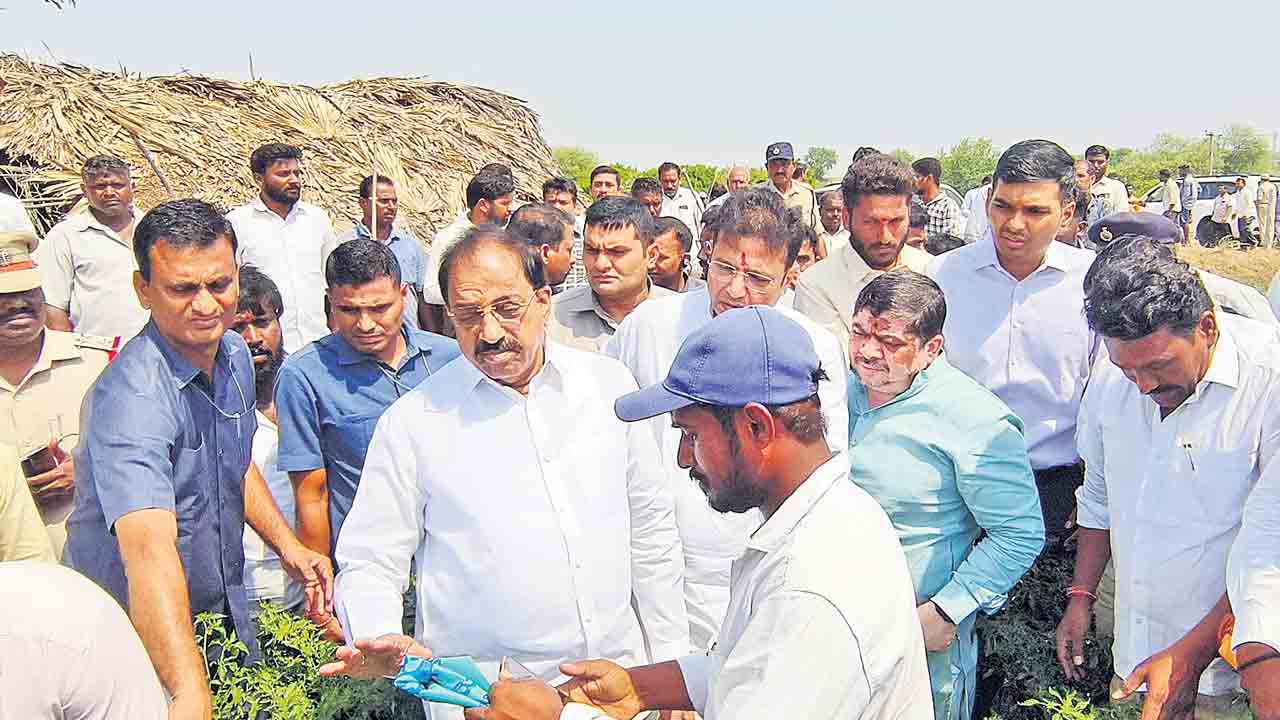 నష్టపోయిన రైతులకు పరిహారం చెల్లిస్తాం
