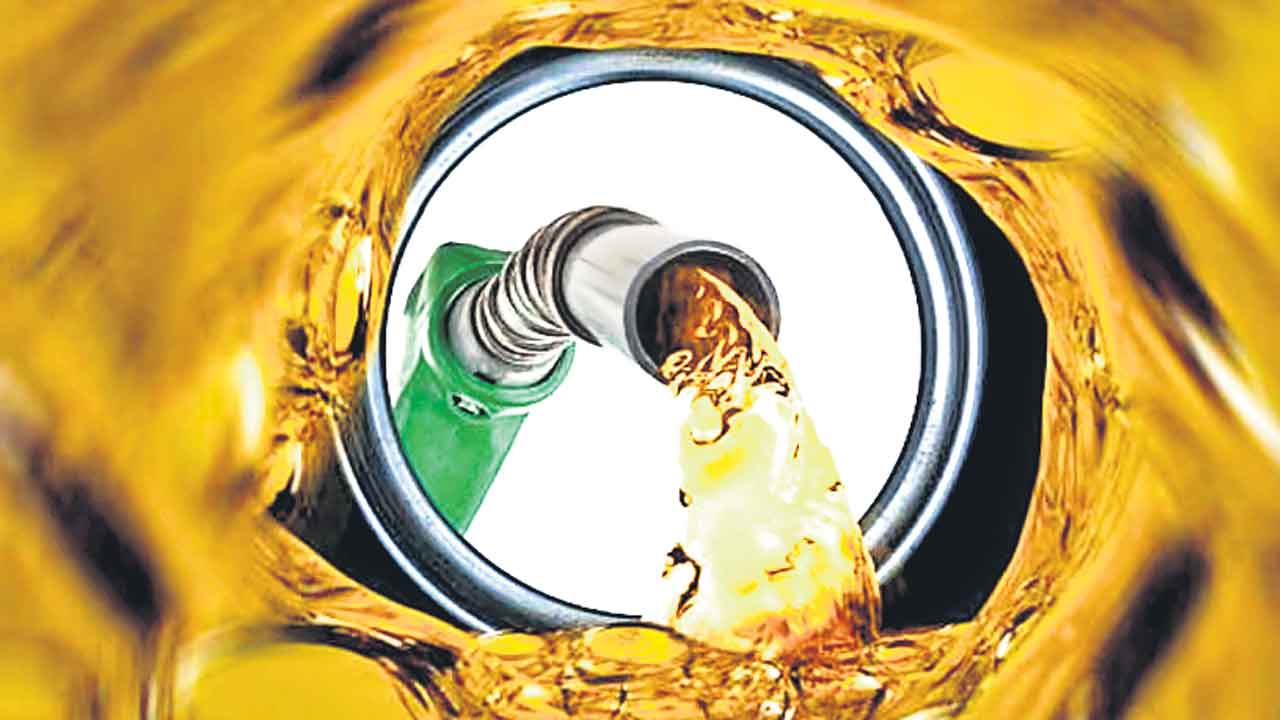 Economic Crisis | డీజిల్‌కు తగ్గిన డిమాండ్‌.. మందగించిన దేశ ఆర్థికం?