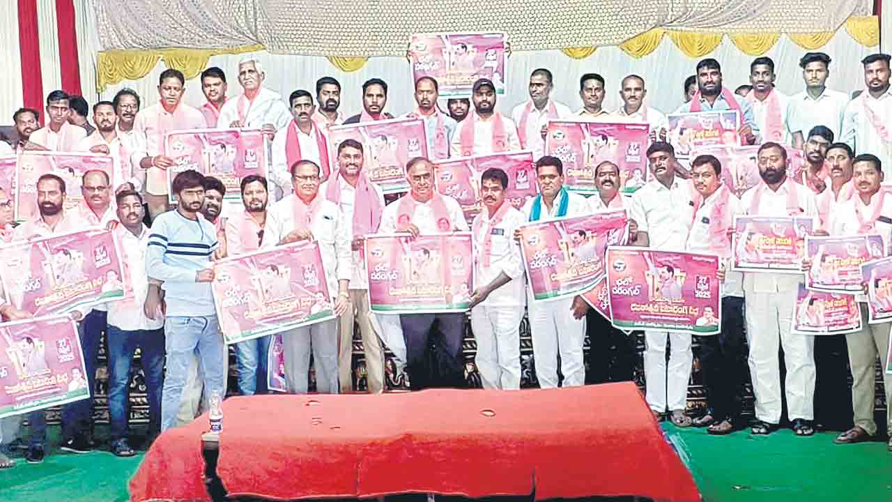 సభతో సత్తా చాటుదాం