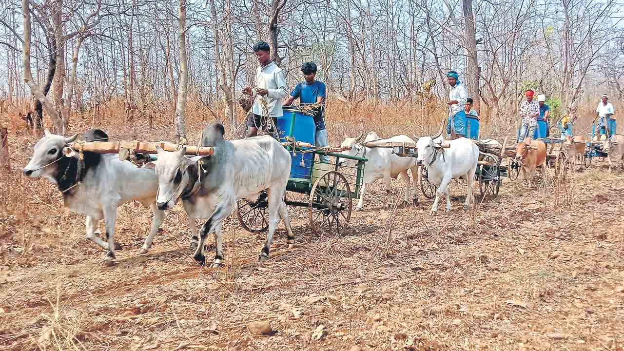 గుక్కెడు నీటికి..బండెనక బండికట్టి