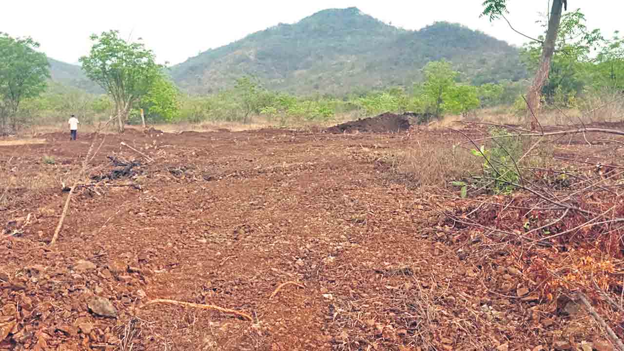 హనుమకొండ జిల్లాలోని ఇనుపరాతి గుట్టల అటవీ ప్రాంతంలో ప్రైవేటు వ్యక్తులు బుల్డోజర్లతో భారీ వృక్షాలను తొలగించి చదును చేసిన ప్రాంతం 