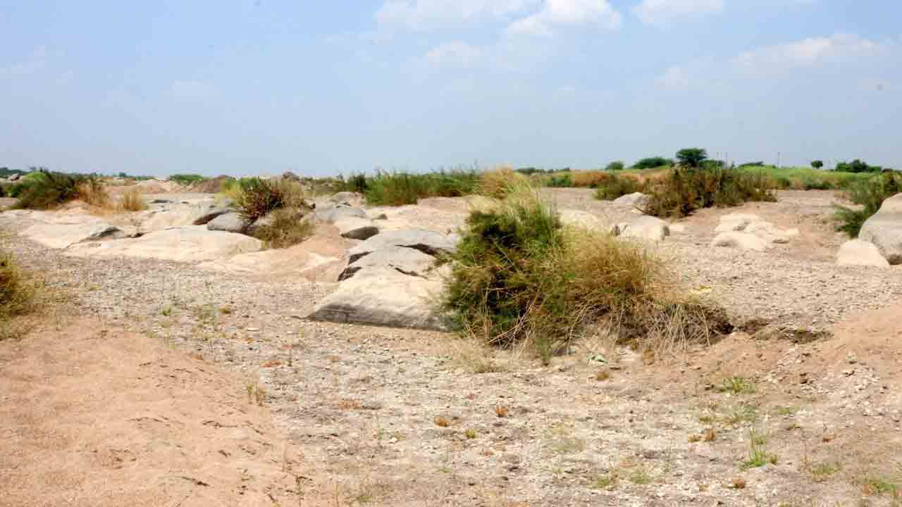 తడారిన భీమా