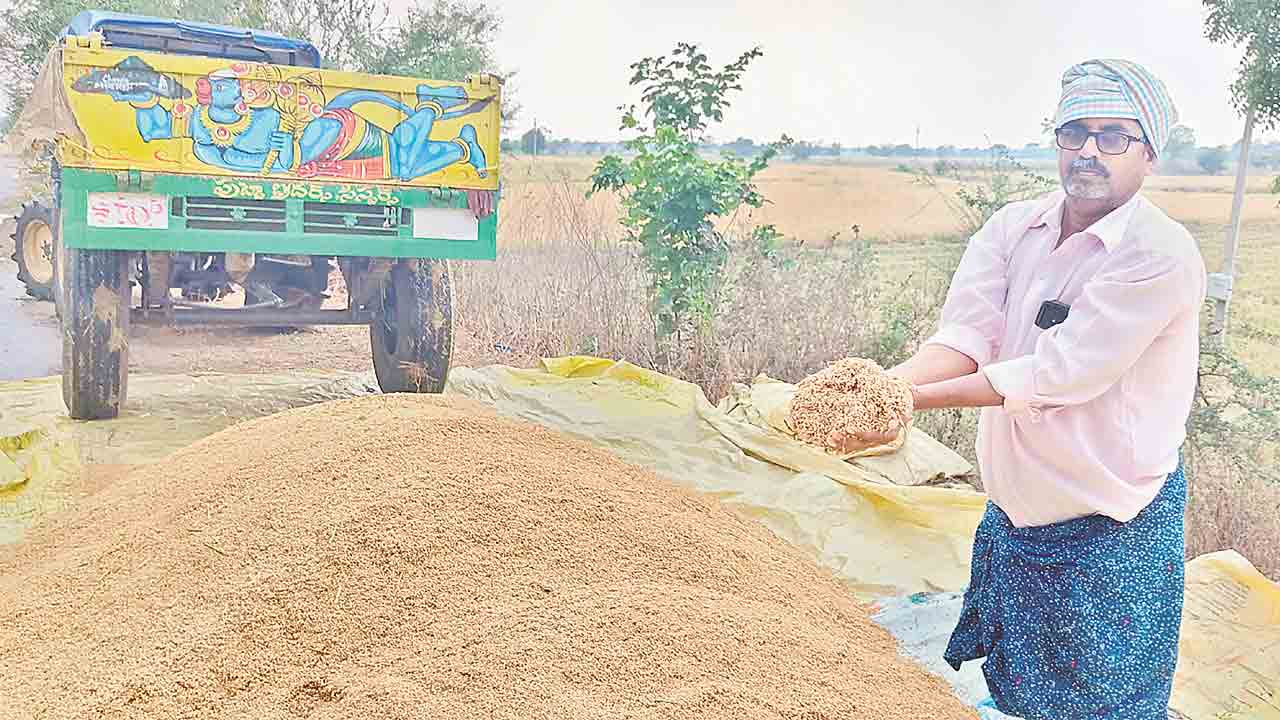 పలు మండలాల్లో తడిసిన ధాన్యం