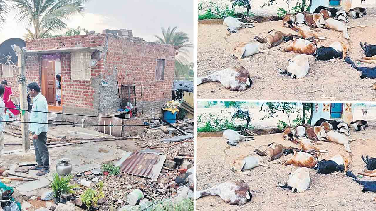 ఈదురు గాలుల బీభత్సం