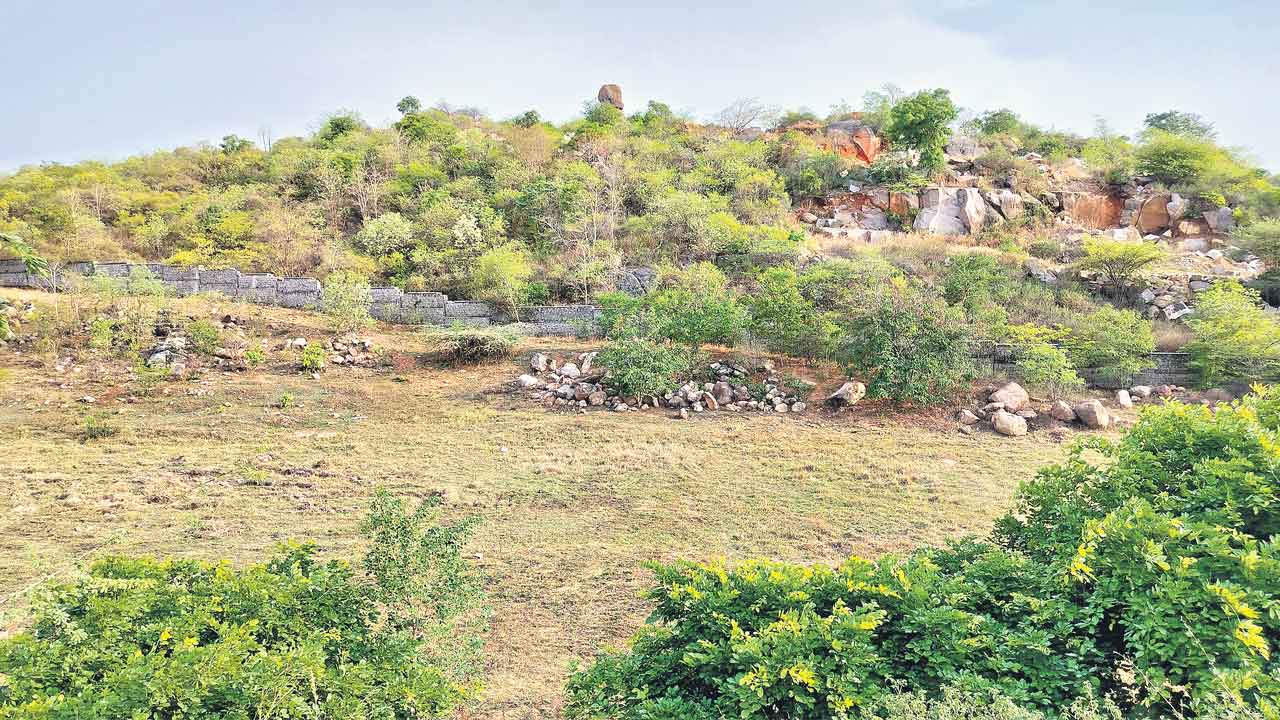 Kancha Mamidipally | కంచికి చేరని కథ.. కంచ మామిడిపల్లిలో 444 ఎకరాలు తీసుకుని, పైసా పరిహారమివ్వని ప్రభుత్వం!