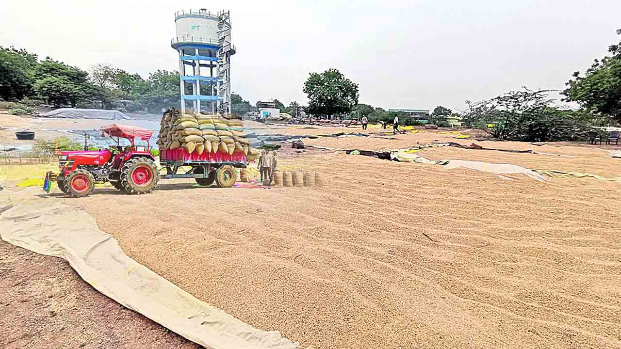 గింజ ఎత్తలె.. కాంటా వేయలె