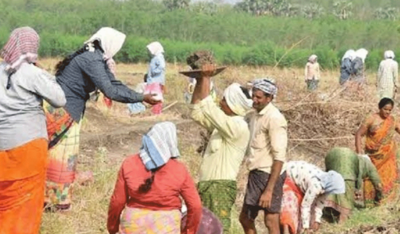 Nregs | ఉపాధి కూలీలకు కత్తెర… పని దినాల్లో సగానికి పైగా కోత