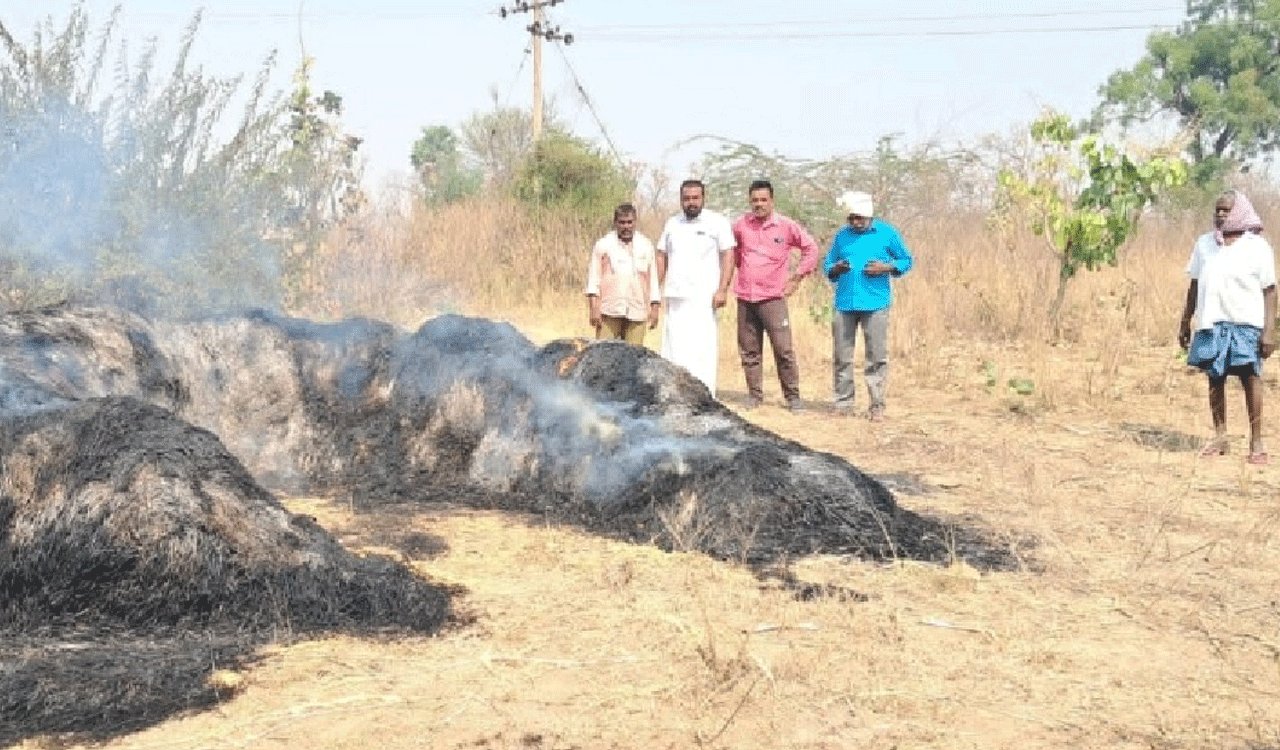CHIGURUMAMIDI | కౌలు రైతు వరి పంట దగ్ధం.. రూ.50 వేల పంట నష్టం