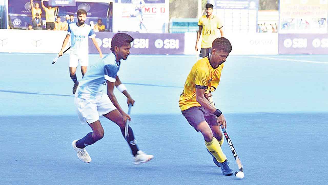 తెలంగాణ ఘన విజయం