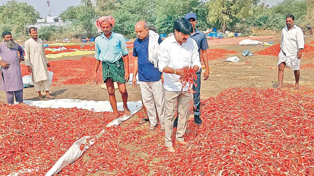 దెబ్బతిన్న పంటలకు పరిహారం చెల్లించాలి