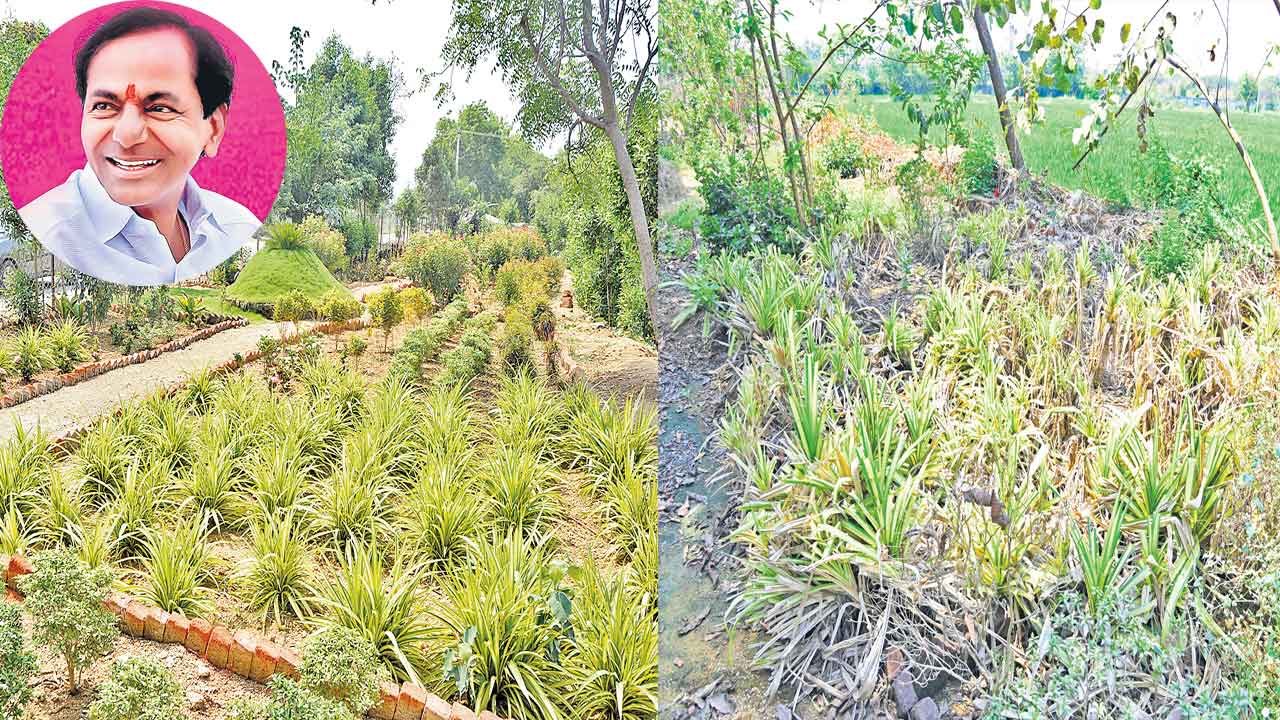 KCR | కేసీఆర్‌ పాలనా దక్షతకు మరో గుర్తింపు.. పంచాయతీల పురోగతి సూచికలో దేశంలోనే రెండో స్థానంలో తెలంగాణ