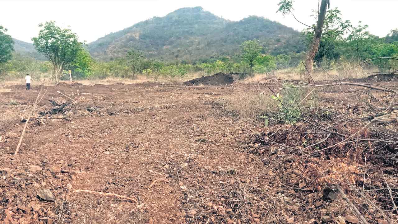 Devanur Forest | ఏడాదిన్నరగా దేవునూరు అడవుల కబ్జా.. వందల ఎకరాల్లో అక్రమార్కుల పాగా!