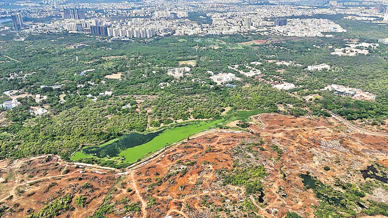 HCU Lands Issue | హెచ్సీయూ భూముల వ్యవహారంలో లోతుకు వెళ్లేకొద్దీ సందేహాలెన్నో..!