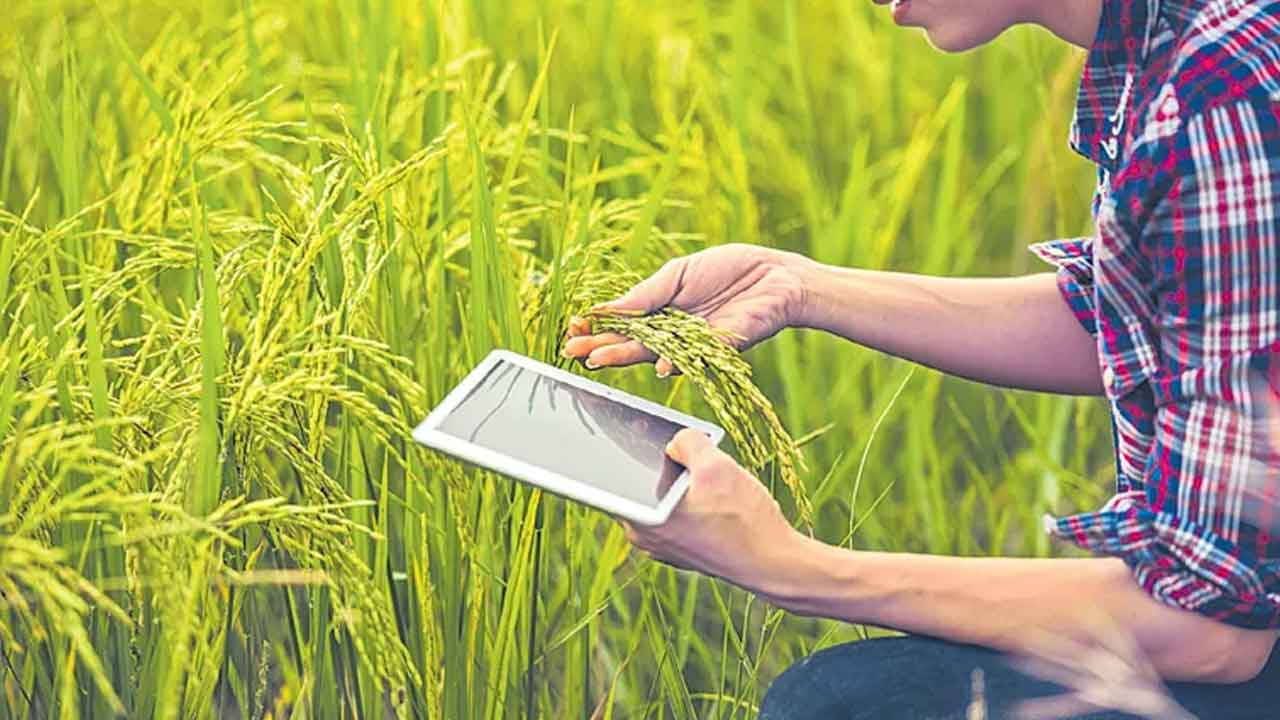 వ్యవసాయంలో డిజిటల్‌ పద్ధతులు అవసరం
