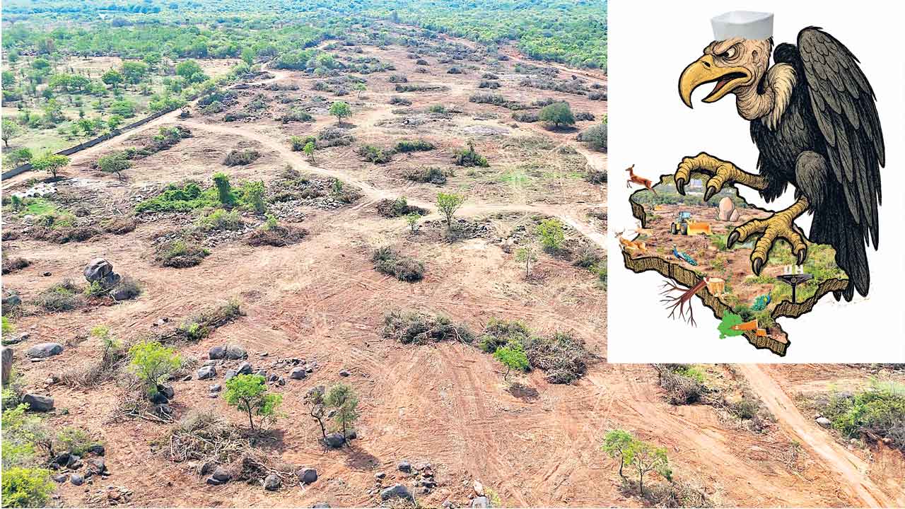 HCU Lands | హెచ్‌సీయూ భూములపైకి గద్దల్లా పెద్దలు.. 400 ఎకరాల అమ్మకం వెనుక భారీ స్కెచ్‌