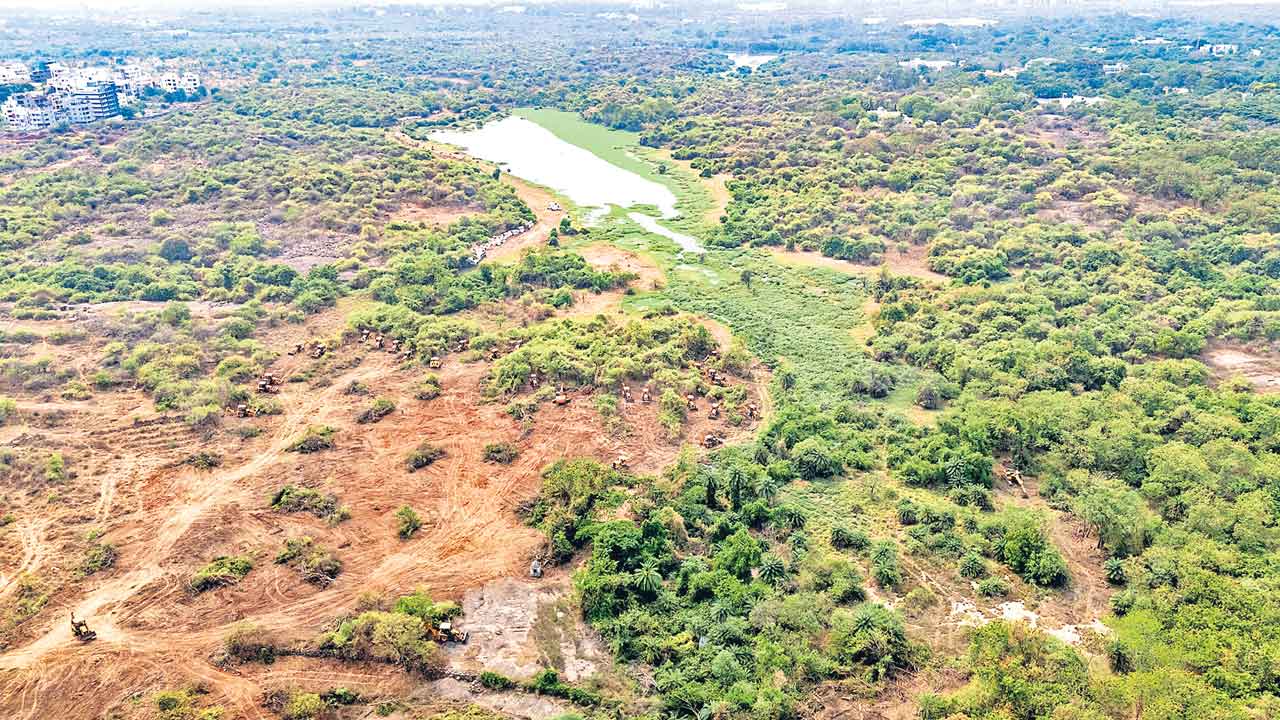 HCU Lands | అది విధ్వంసమే!..అభివృద్ధి చేస్తామని నాశనం చేస్తున్న సర్కార్‌