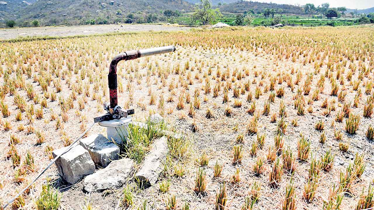 వెయ్యి ఫీట్లు వేసినా నీళ్లు రావట్లే