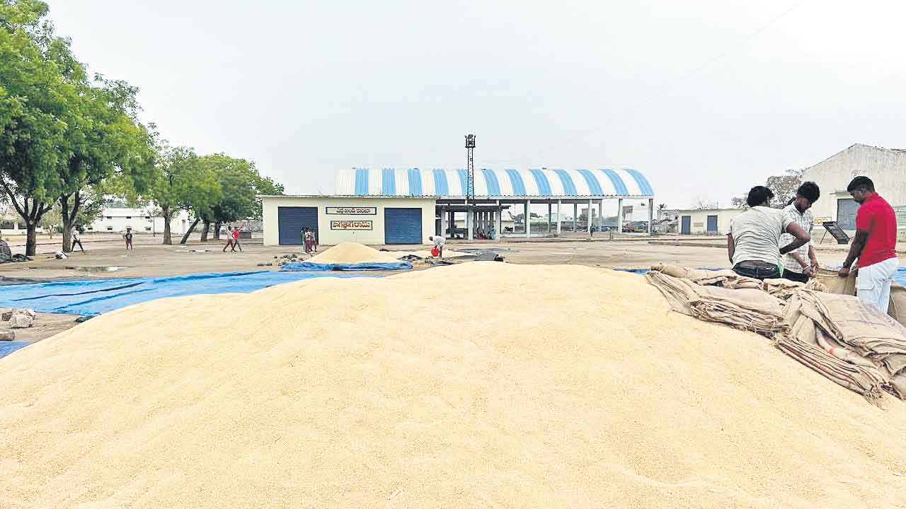 జొన్నల కొనుగోళ్లపై సీలింగ్