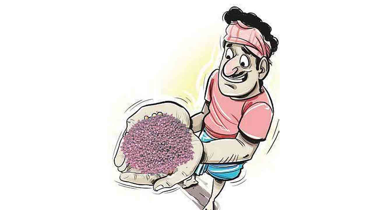 సీజన్‌కు ముందే నకిలీ దందా