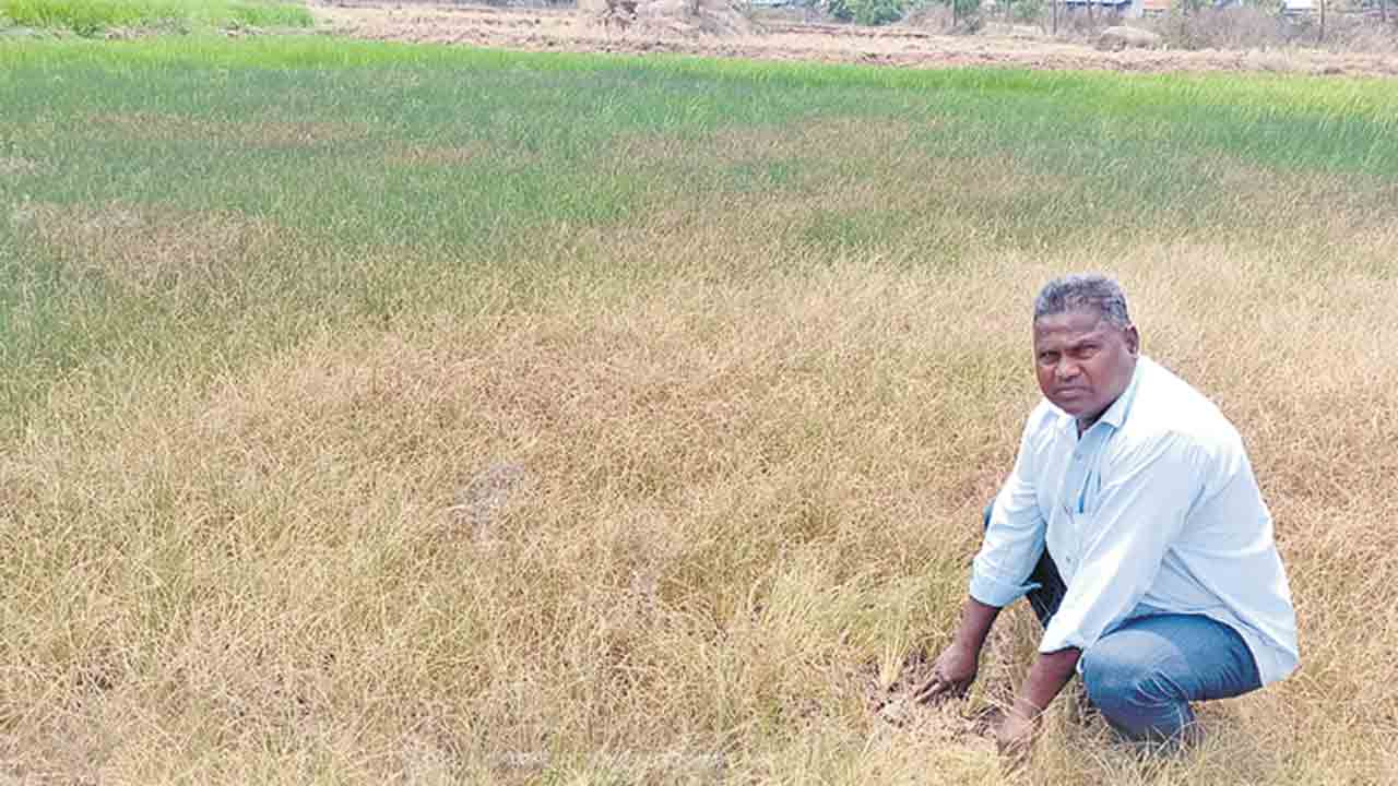 చివరికి నిరాశే..