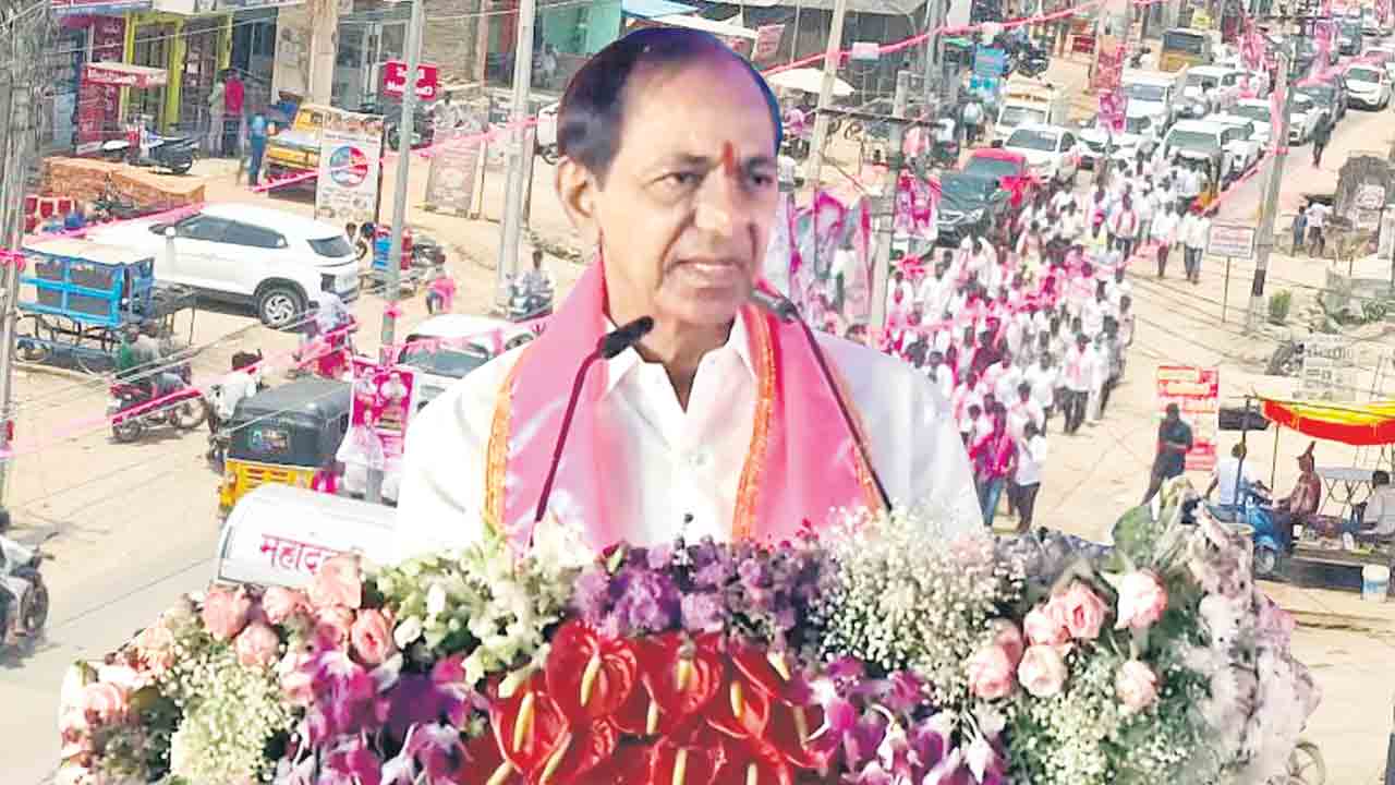 గులాబీ పండుగ