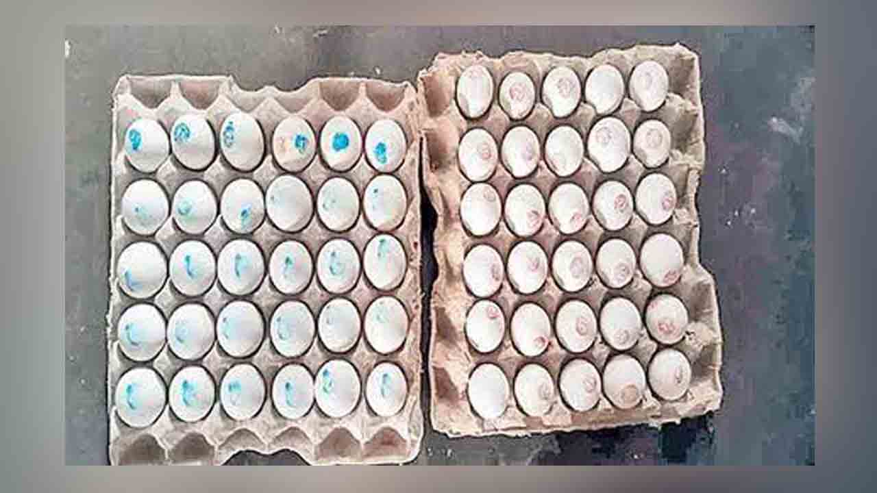 Anganwadi Centres | అంగన్‌వాడీల్లో పిల్లలకు అందని కోడిగుడ్లు.. పట్టించుకోని ఐసీడీఎస్‌ అధికారులు