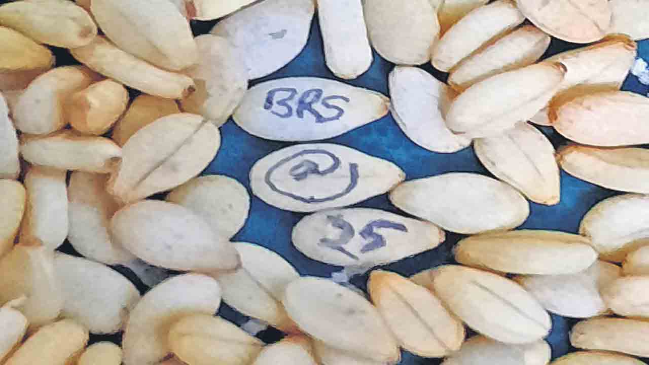 BRS Party | కదిలింది తెలంగాణ.. ‘పోరు’గల్లు బాటలోన! హెల్ప్‌లైన్‌ నంబర్‌@9014206465