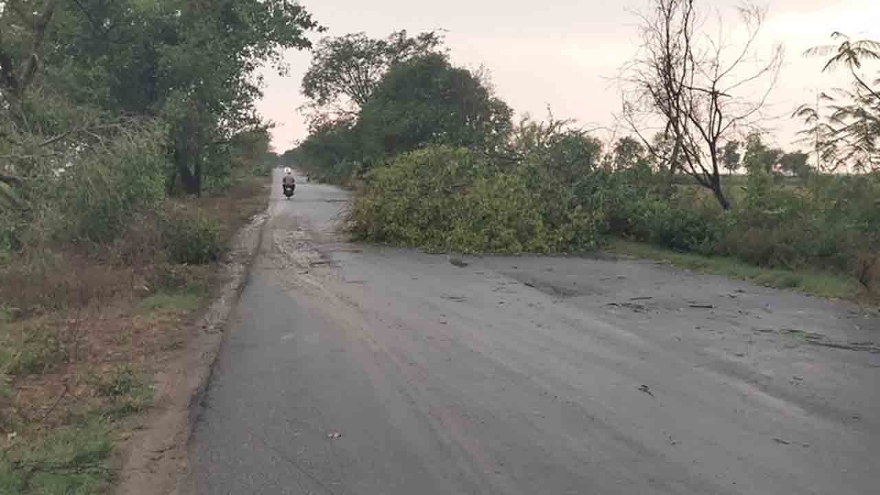 Windstorm | బిజినపల్లిలో గాలివాన బీభత్సం.. విరిగిపడ్డ చెట్లు
