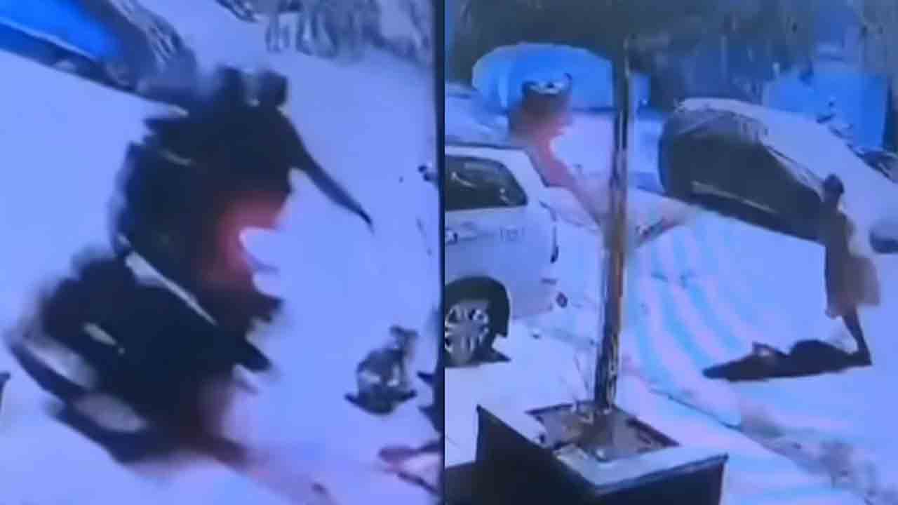 Watch: ఖరీదైన కుక్క పిల్లతో మహిళ వాకింగ్‌.. తర్వాత ఏం జరిగిందంటే?