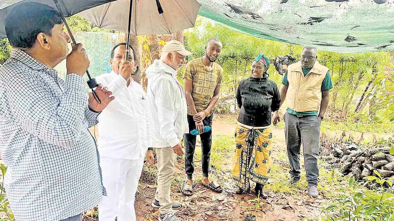 ఆఫ్రికన్లు ఆదర్శప్రాయులు