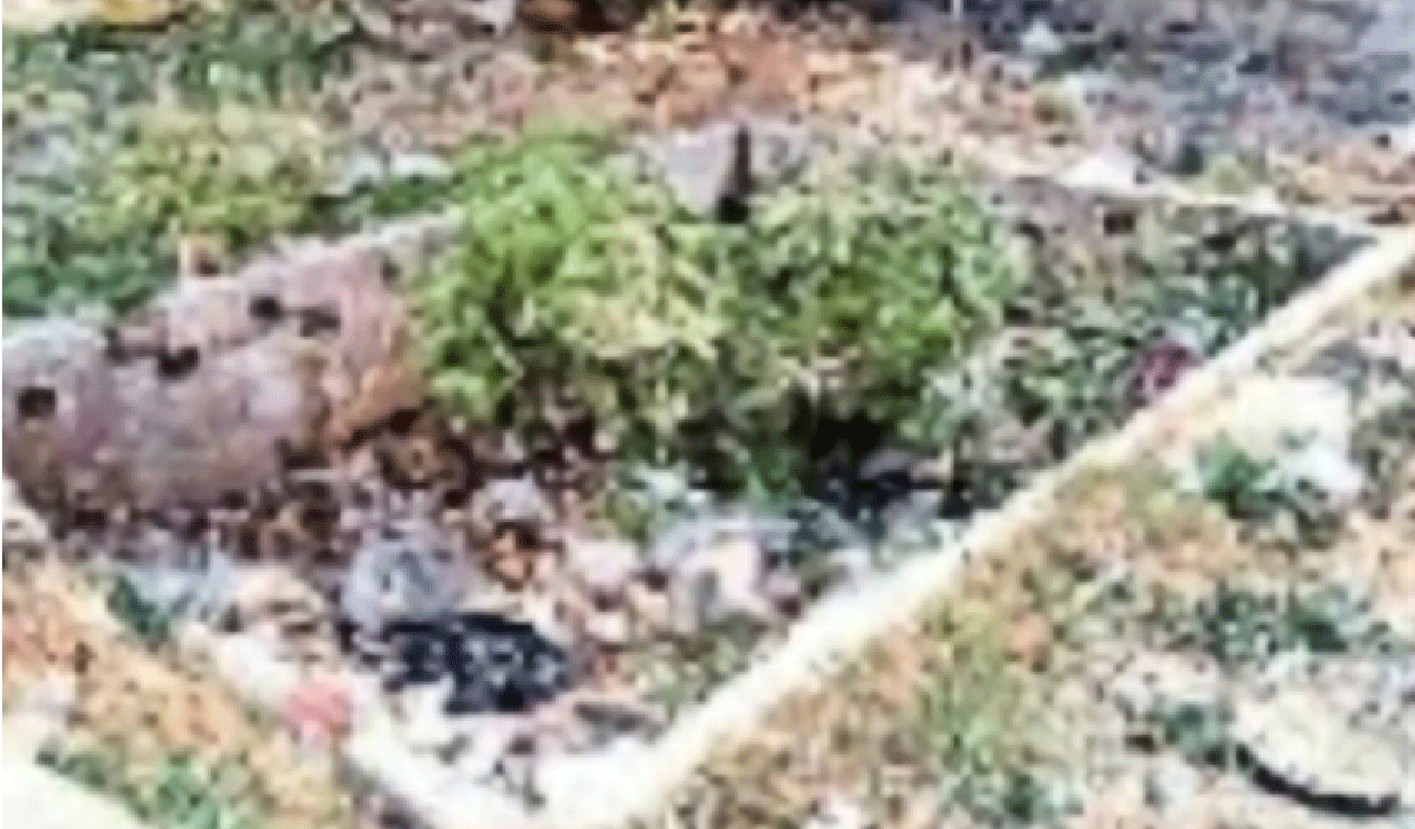 KARIMNAGAR | నిర్వహణ మరిచారు.. నిరుపయోగంగా మార్చారు