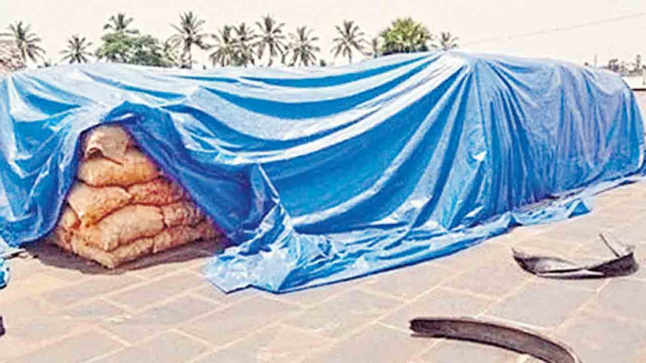 Paddy Procurement | పరదాలకూ పైసల్లేవ్‌.. ధాన్యం కొనుగోలు కేంద్రాల్లో సౌకర్యాల కొరత