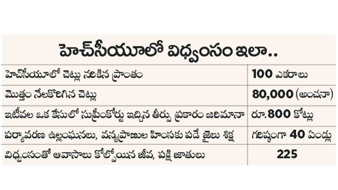Congress