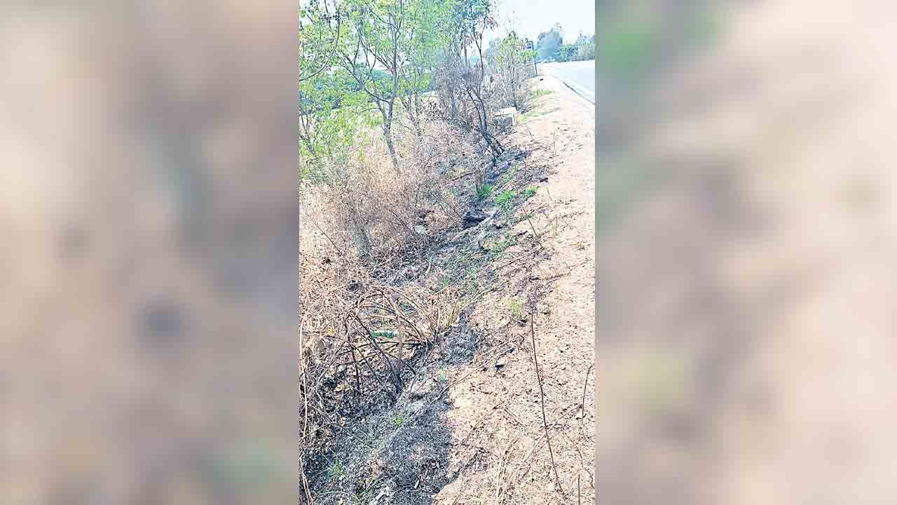 హరితం ఆహుతి