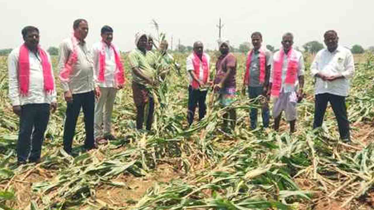 Soaked Paddy | తడిసిన ధాన్యాన్ని ప్రభుత్వమే కొనుగోలు చేయాలి : బీఆర్ఎస్ నాయకులు