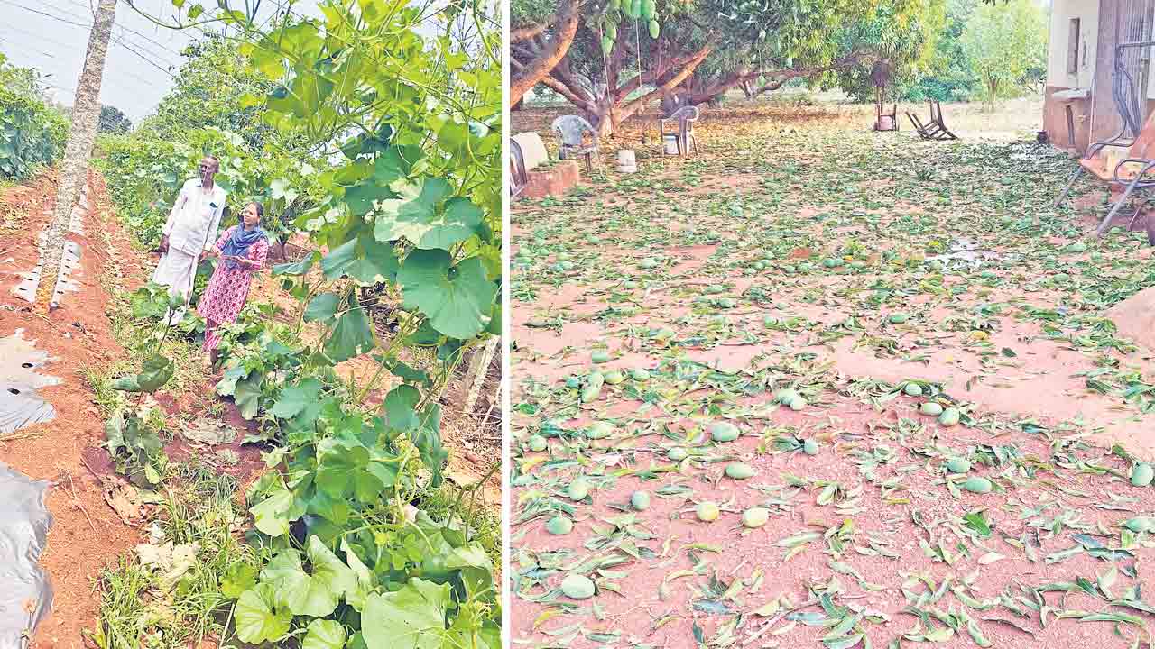 అన్నదాతను నిండా ముంచిన ఈదురుగాలులు