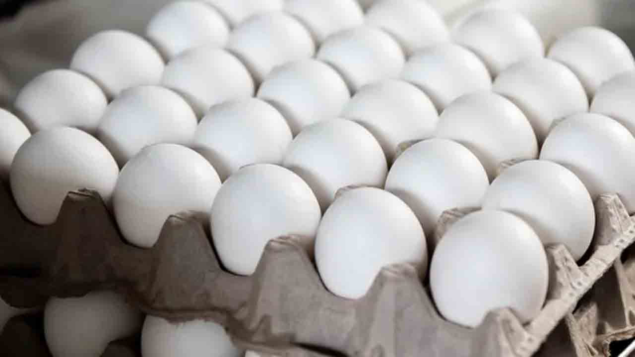 Egg price | అమెరికాలో కొండెక్కిన కోడిగుడ్ల ధరలు.. ఎంతో తెలిస్తే షాకే..!