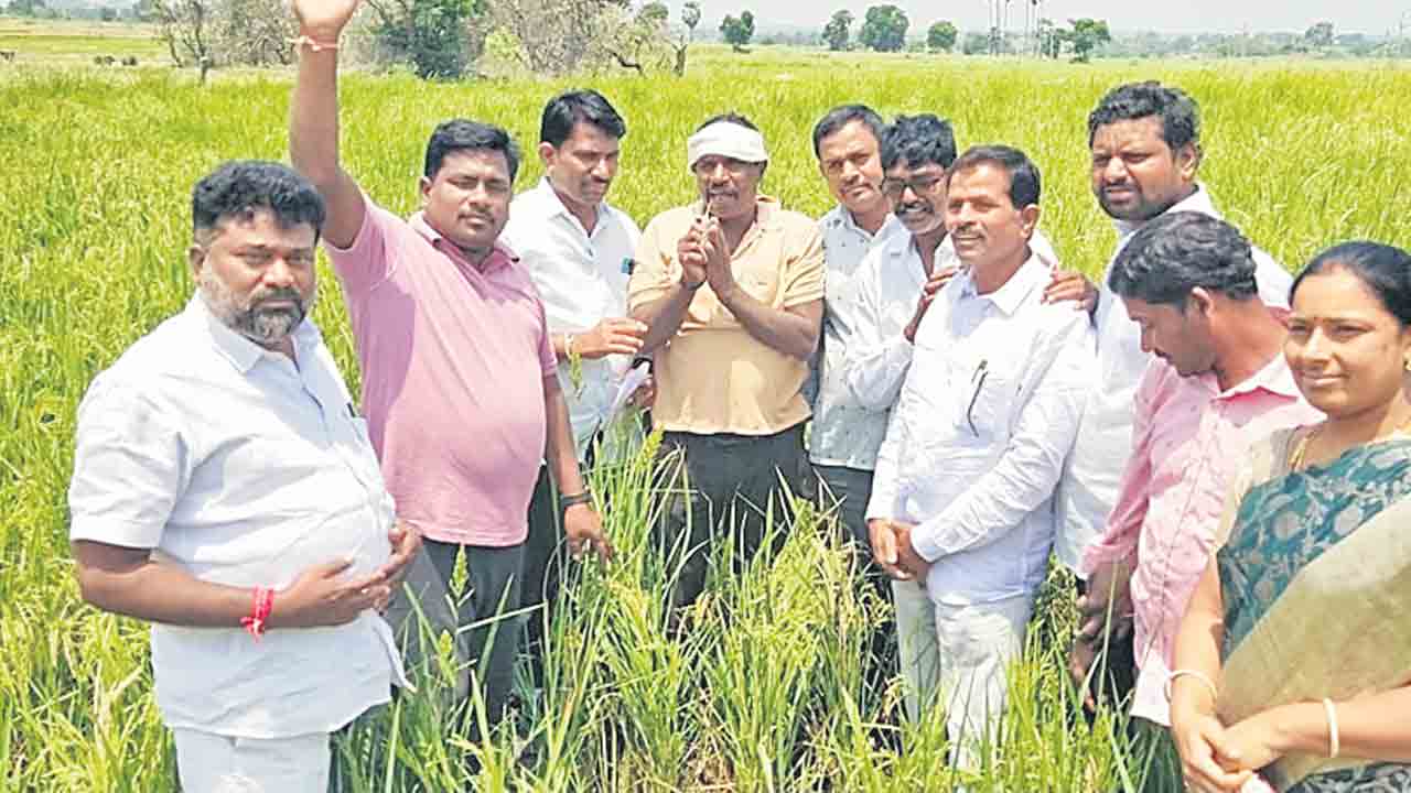 కేసీఆర్‌ సార్‌ రావాలి.. రైతులు బాగుపడాలి