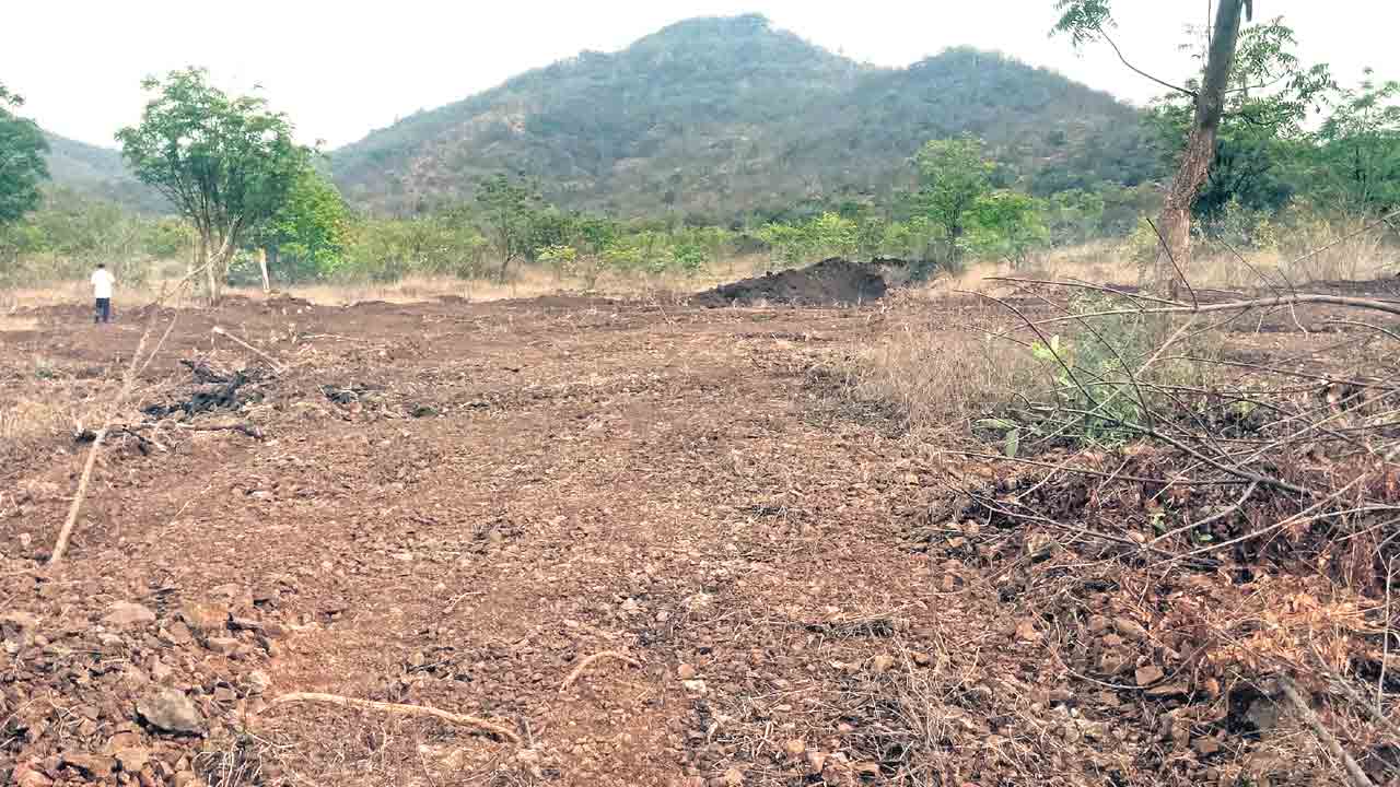 Devanur Forest | ఆ అడవిపై అయోమయం.. మంత్రిదో మాట.. కలెక్టర్‌ది మరో మాట!