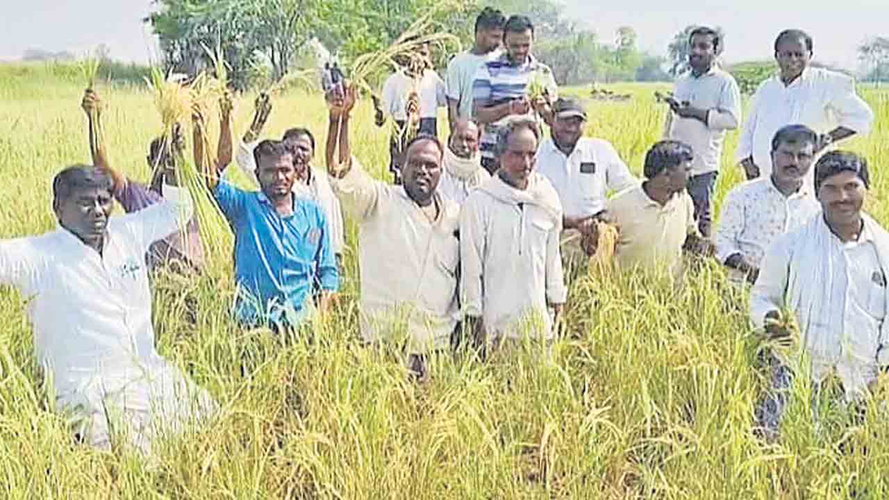సాగుకు నీళ్లియ్యాలని వినూత్న నిరసన