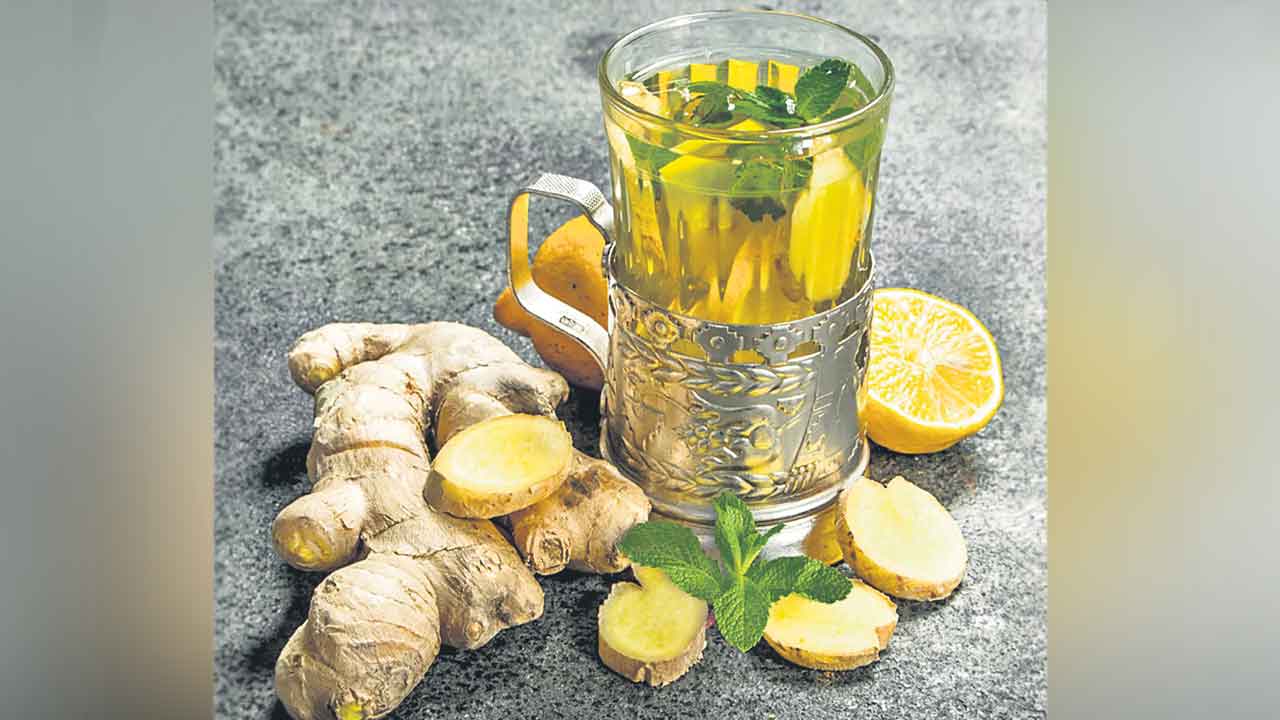 పొట్టలో గడబిడా?