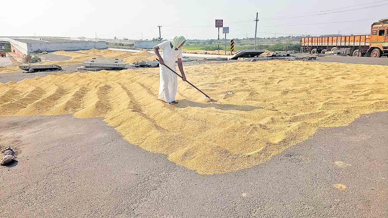 Revanth Reddy | ధాన్యం.. అమ్మలేక దైన్యం.. రేవంత్‌ సర్కారు తీరుతో రైతుల గోసగోస