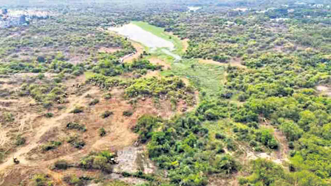 HCU Lands | ఆ భూములు మావే.. 50 హెక్టార్ల భూమి వరకూ రాష్ర్టానిదే అధికారం!