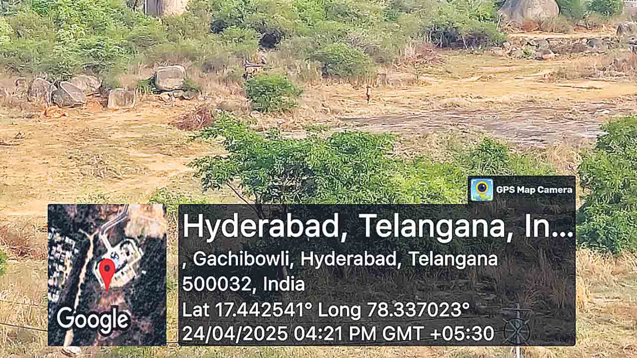 హెచ్‌సీయూ భూముల్లో సుప్రీం ఆదేశాలు ఉల్లంఘన