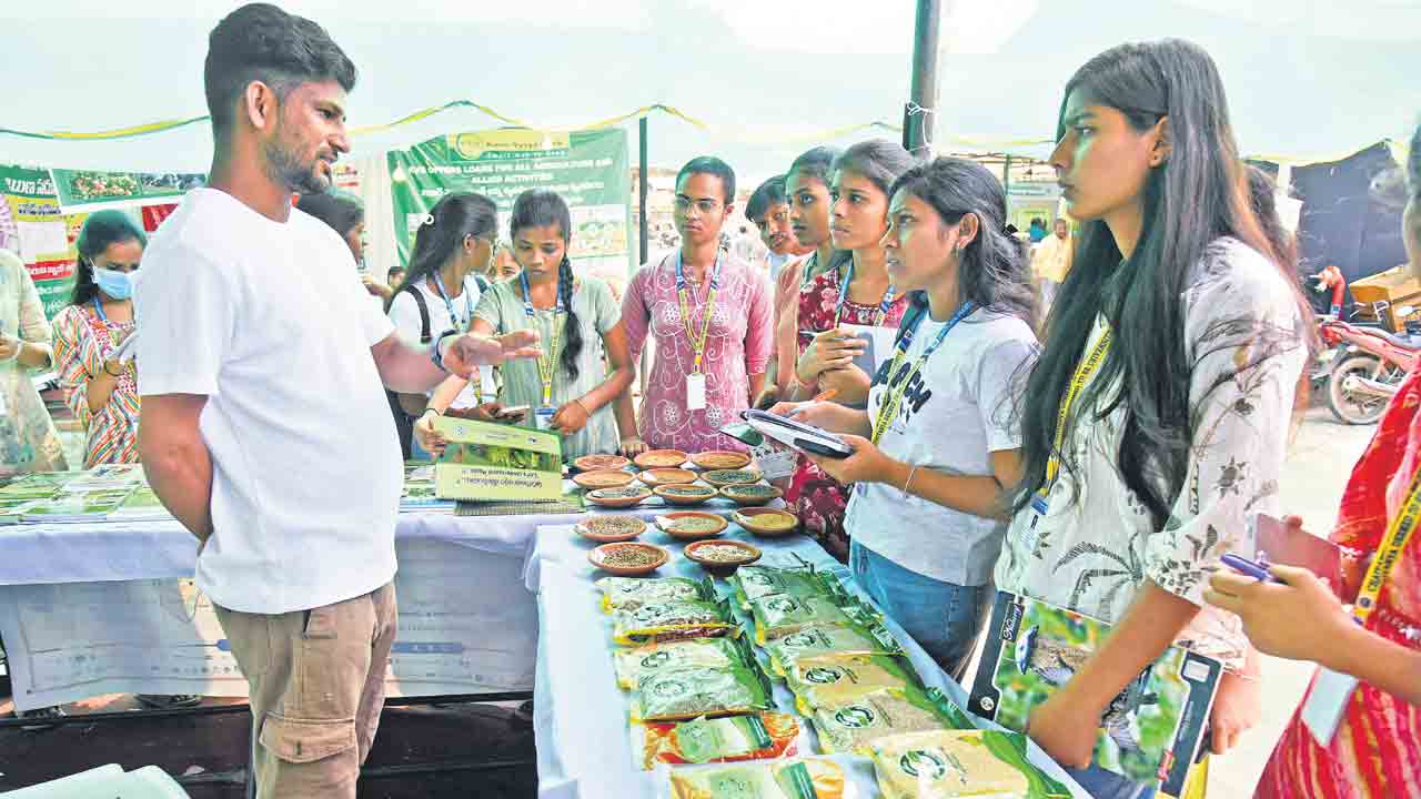 మిద్దెతోటలు సాగు చేద్దాం