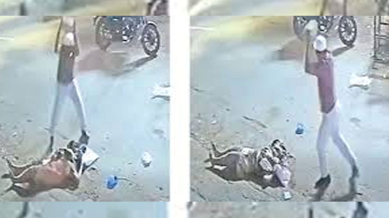 Pregnant Wife | గచ్చిబౌలిలో దారుణం.. గర్భవతి అయిన భార్యపై భర్త హత్యాయత్నం