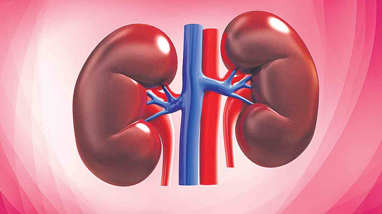 కేసీఆర్‌ ముందు చూపు.. పేదలకు దక్కిన భరోసా