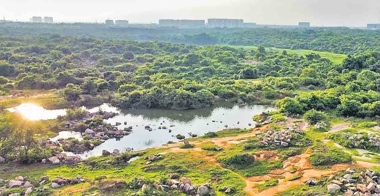 వైవిధ్యనేలపై ఇనుపబూట్ల చప్పుళ్లు