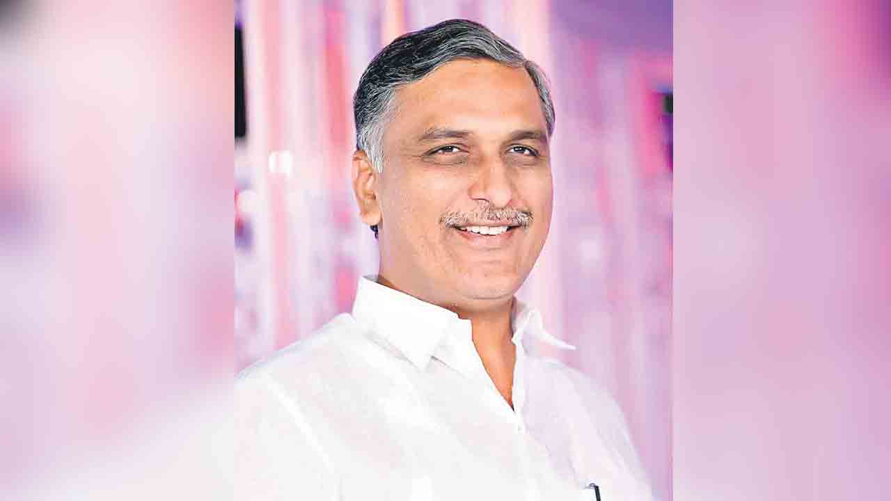 పూర్తిస్థాయిలో సన్‌ప్లవర్‌ కొనాలి